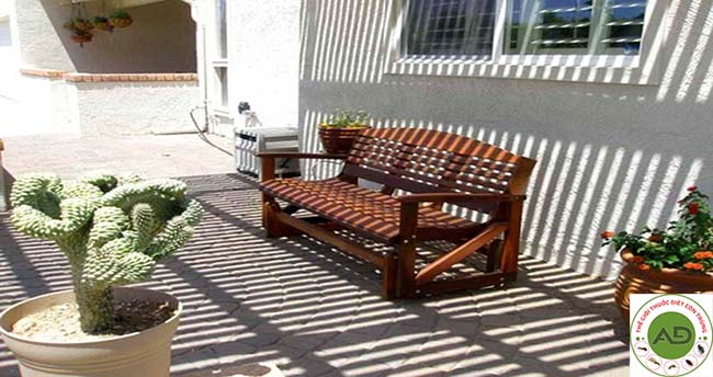 Sử dụng phương pháp phơi nắng – cách diệt mối đơn giản