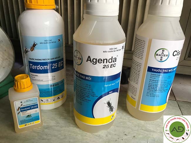 Sử dụng thuốc diệt mối - cách diệt mối tận gốc tại nhà hiệu quả cao