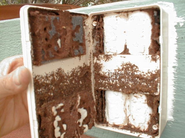 Hướng dẫn sử dụng bả diệt mối Xterm AG: