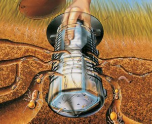 Bả diệt mối Xterm