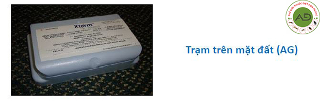 Bả bẫy mối xterm hệ thống trên mặt đất (AG)