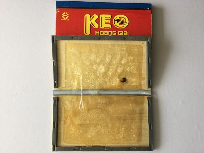 Bẫy keo dính chuột