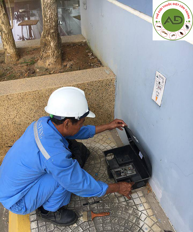 Công ty diệt chuột tại Hà Nội uy tín và giá rẻ