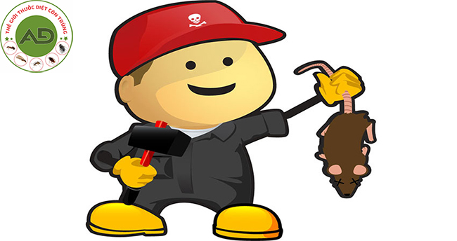 Anh Đức luôn tuân thủ quy trình diệt chuột tiêu chuẩn.