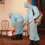 Phòng chống mối