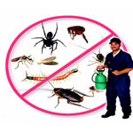 Diệt côn trùng khác