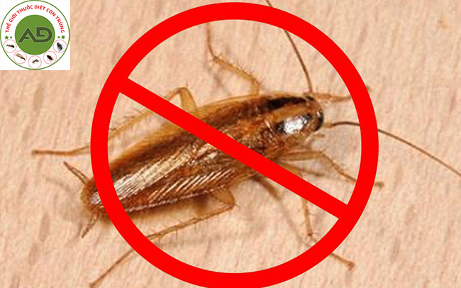 Gián Đức tiêu diệt rất khó