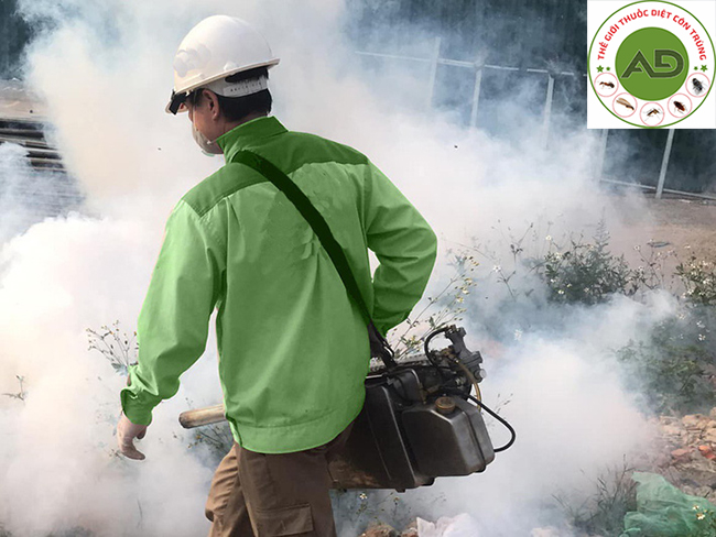 Cách diệt gián Đức hiệu quả