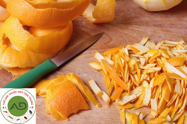 Đuổi gián đơn giản với lá đào tươi, vỏ cam, vỏ chanh, dưa chuột