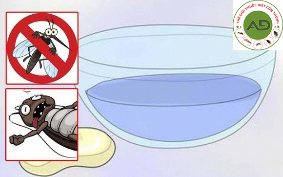 Cách diệt gián bằng nước xà phòng