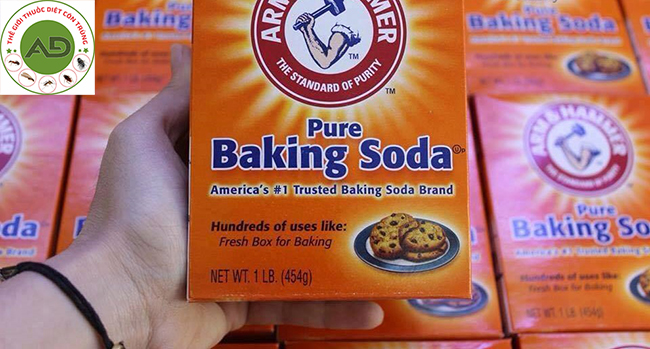 Cách tiêu diệt gián bằng baking soda