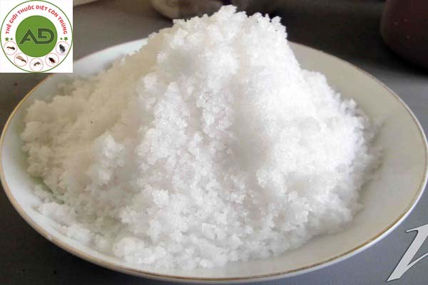 1. Cách diệt mối bằng muối