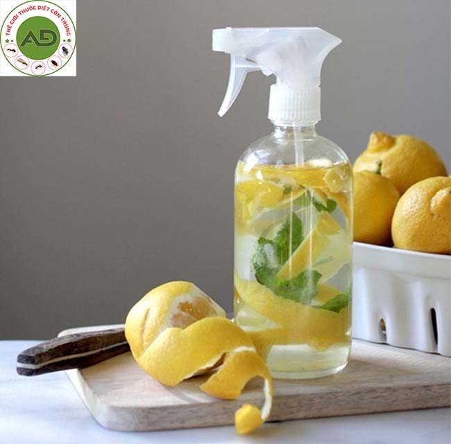 Cách diệt mối bằng giấm và chanh
