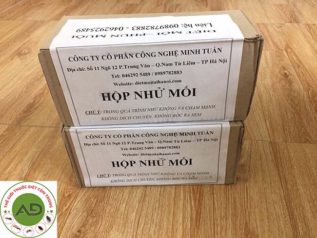 Diệt mối với hộp nhử mối nhanh hiệu quả