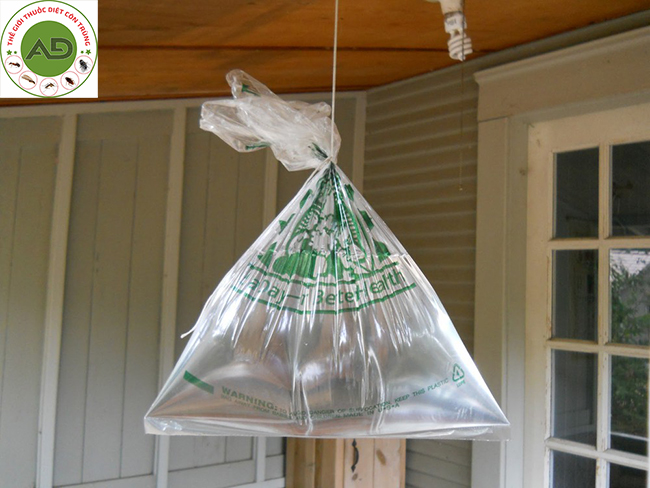 Sử dụng túi ni long đựng nước