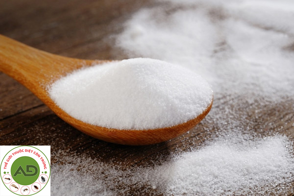 Một số cách đơn giản đuổi kiến ra khỏi đường