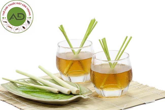 Sử dụng tinh dầu đuổi muỗi