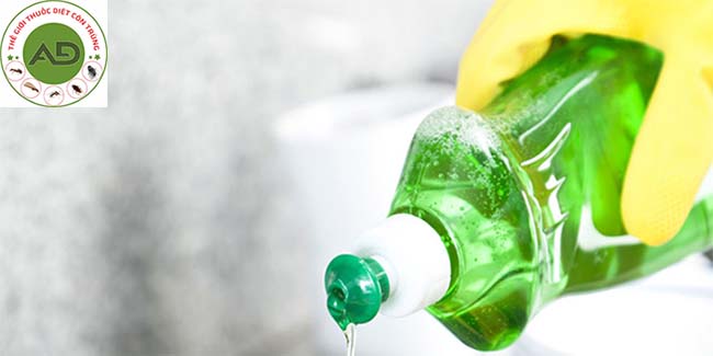 Đuổi muỗi nước rửa chén