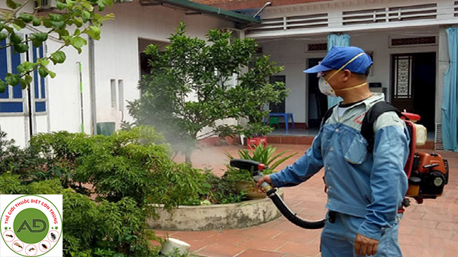 Tình hình thực tế của việc phun thuốc diệt muỗi phòng sốt xuất huyết