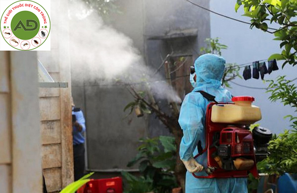 Những điều cần lưu ý khi phun thuốc diệt muỗi sốt xuất huyết
