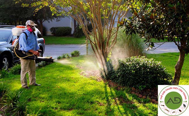 Khi nào nên mua hay phun thuốc diệt muỗi và côn trùng?