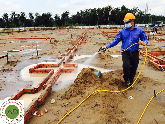 Phương pháp phòng chống mối cho công trình xây dựng