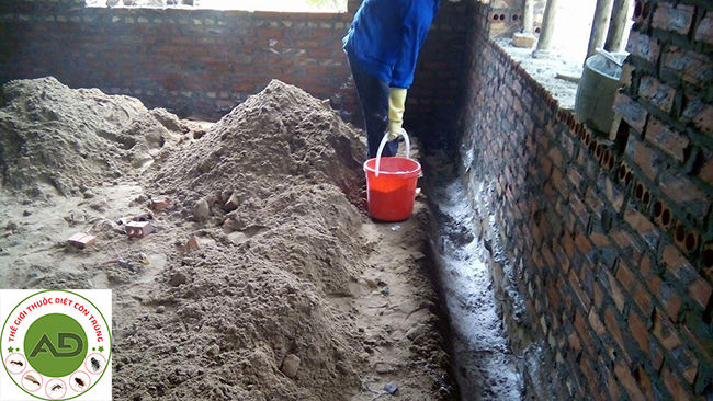 Làm thế nào để ngăn chặn mối mọt trong công trình xây dựng: