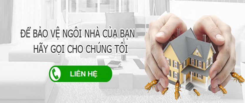 Diệt côn trùng tại nhà