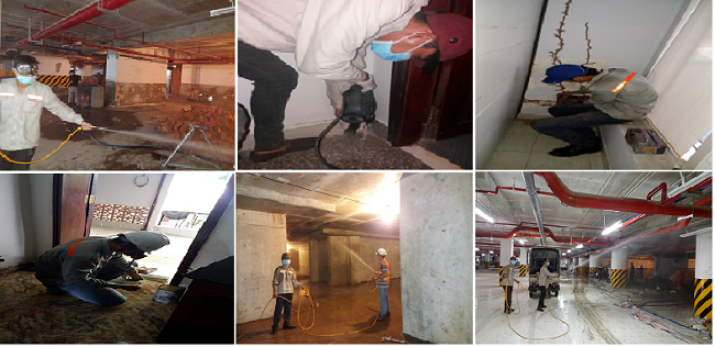 Công tác phòng chống mối