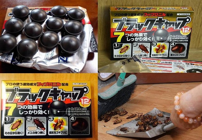 Thuốc diệt gián nhật bản hiệu quả cao