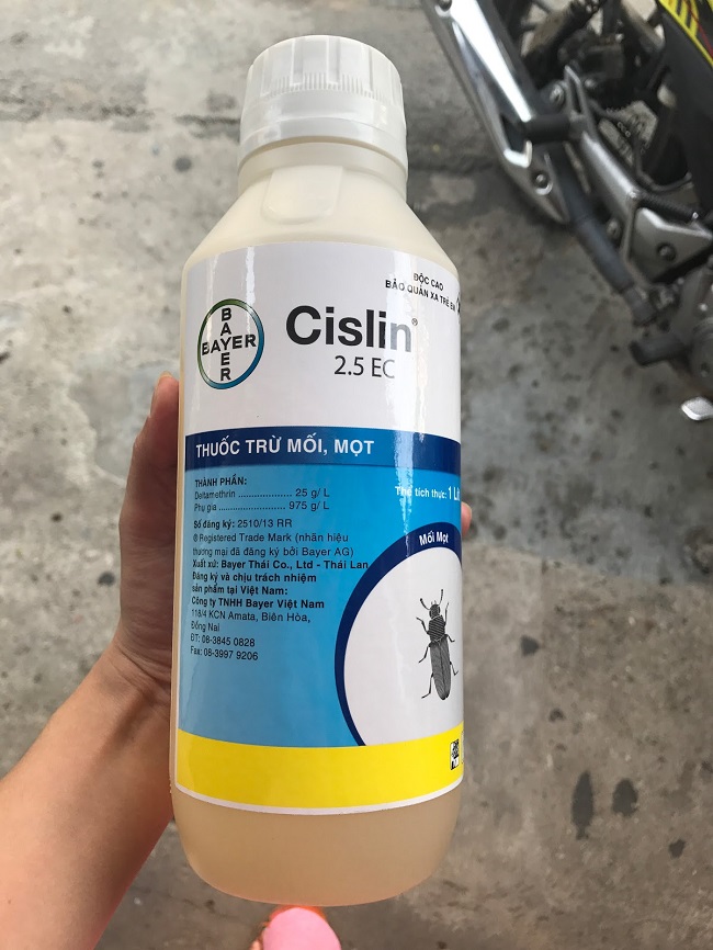 Thuốc diệt mọt Cislin 25 EC