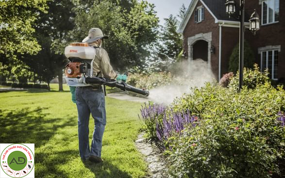 Quá trình phun thuốc: