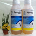 Thuốc phòng chống mối