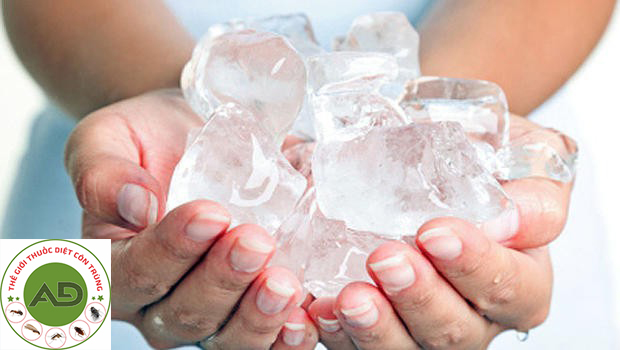 Sử dụng đá lạnh