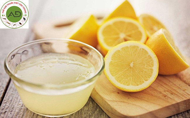 Chanh trị nốt muỗi đốt